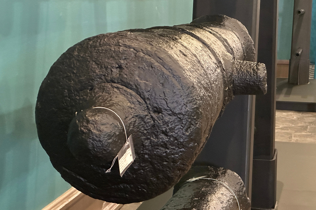 Cannons, which sunk to the bottom of the Savannah River during the American Revolution, sit on a rack after arriving at the Savannah History Museum in Savannah, Ga., on Wednesday, June 3, 2026. (AP Photo/Russ Bynum)