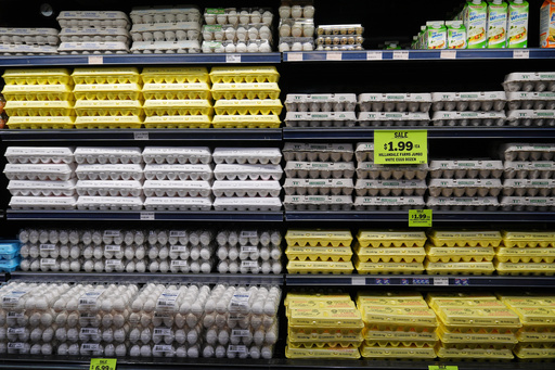 Eggs, which are covered by the USDA Supplemental Nutrition Assistance Program (SNAP), are displayed for sale at a grocery store in Baltimore, Thursday, Oct. 30, 2025. (AP Photo/Stephanie Scarbrough) Eggs, which are covered by the USDA Supplemental Nutrition Assistance Program (SNAP), are displayed for sale at a grocery store in Baltimore, Thursday, Oct. 30, 2025. (AP Photo/Stephanie Scarbrough)