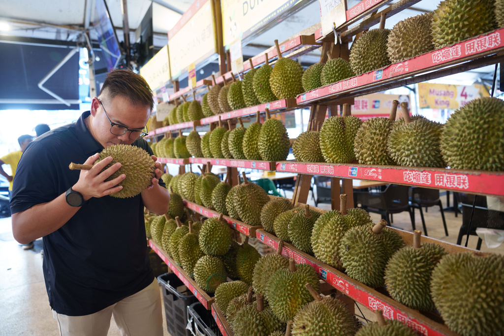 A man smells a durian at a durian stall in Petaling Jaya, on the outskirts of Kuala Lumpur, Malaysia, Monday, June 22, 2026. (AP Photo/Vincent Thian)