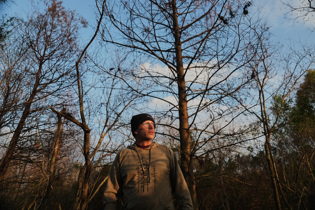 Blaise Pezold, the coastal and environmental manager for The Meraux Foundation, stands near a bald cypress tree planted as part of restoration efforts Thursday, Jan. 22, 2026, in Chalmette, La. (AP Photo/Joshua A. Bickel)