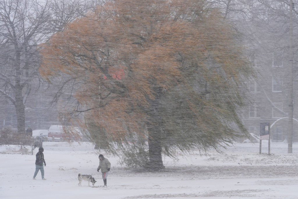 A couple walk their dog on a beach in the snow Saturday, Nov. 29, 2025, in Chicago. (AP Photo/Kiichiro Sato)