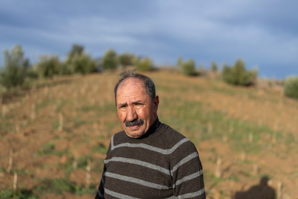 Mohamed Makhlouf, a 70 years old cannabis farmer who sells legally to cooperatives, poses for a portrait on plot of land, near Bab Berred, Chefchaouen, Morocco, Monday, Nov. 24, 2025. (AP Photo/Mosa'ab Elshamy)