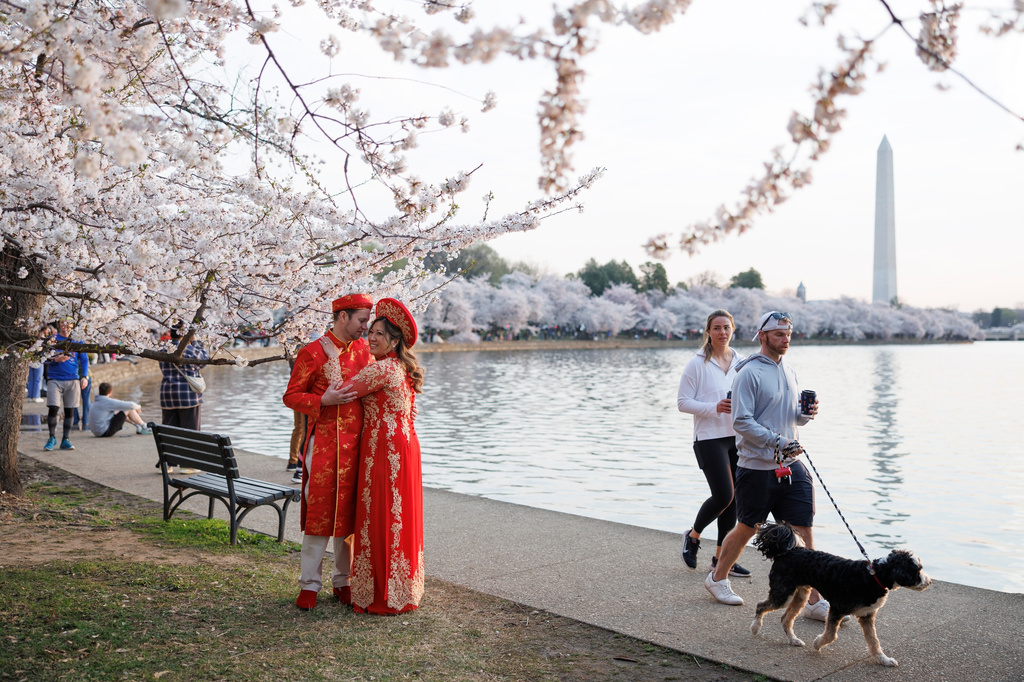 Visitors embrace while standing among the cherry blossom trees along the tidal basin on the National Mall on Thursday, March 26, 2026, in Washington. The Washington Monument stands in the background. (AP Photo/Tom Brenner)