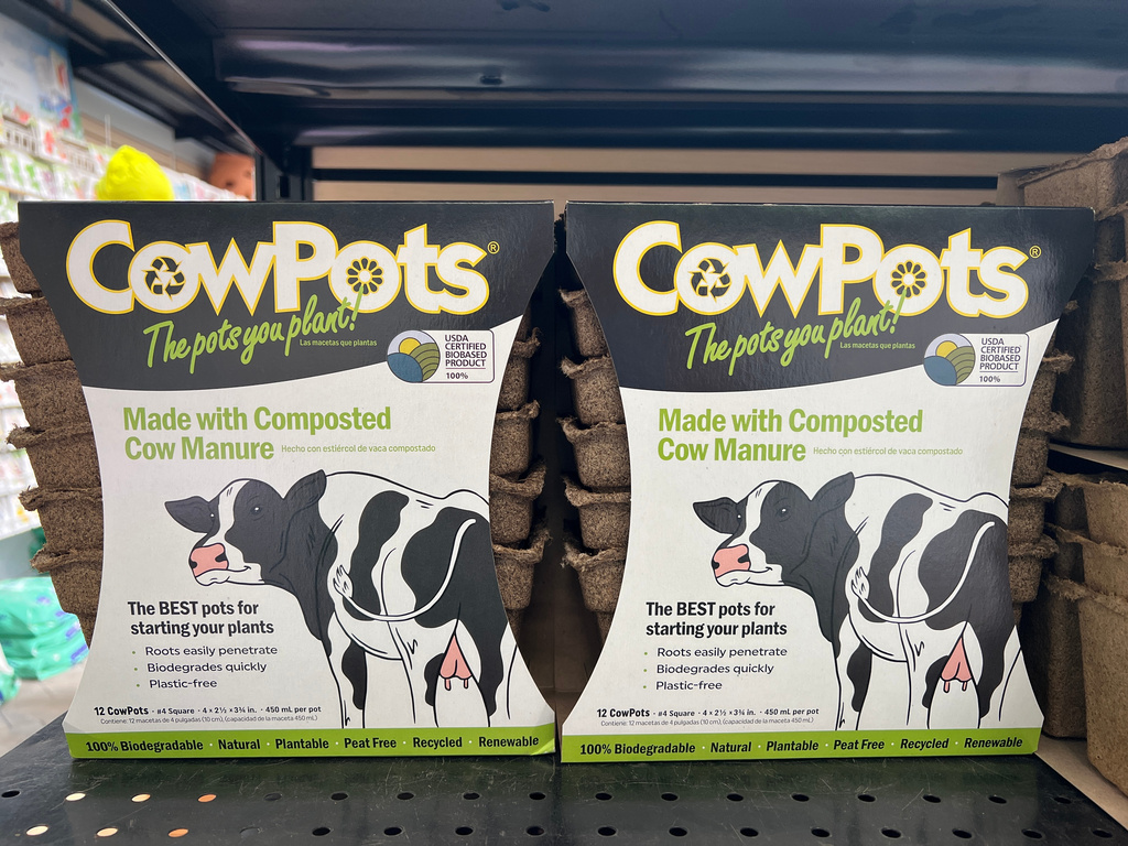 Packages of plastic-free, manure-based CowPots planting pots appear on Long Island, N.Y., on April 8, 2026. (Jessica Damiano via AP)