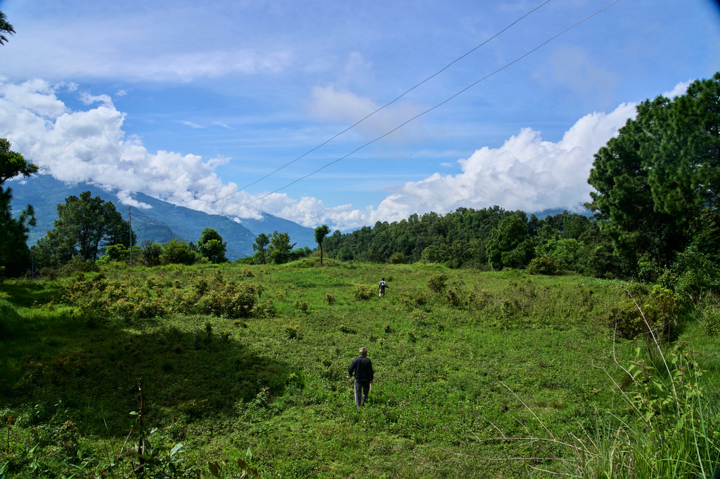 A farmer stands in an empty field that was once farmland but is now uncultivated because of repeated monkey raids in Dharamghar, Dolakha district, about 86 kilometers (53 miles) east of Kathmandu, Nepal, Saturday, July 25, 2026. (AP Photo/Niranjan Shrestha)