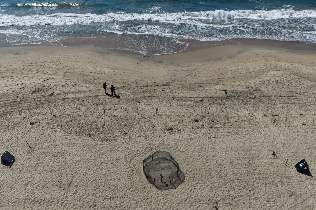 This aerial view shows a protective fence surrounding a sea turtle nesting site on the beach in Huntington Beach, Calif., Tuesday, Sept. 22, 2026. (AP Photo/Jae C. Hong)