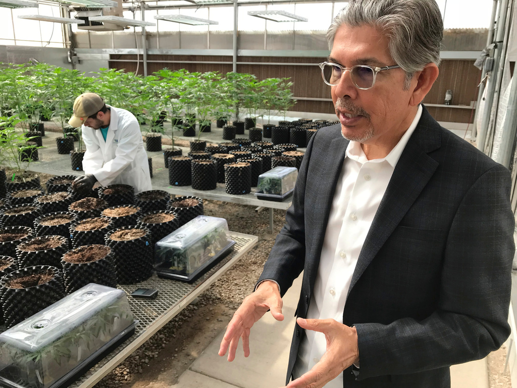 FILE - Ultra Health president and chief executive officer Duke Rodriguez discusses the medical marijuana industry during a tour of the company's greenhouse in Bernalillo, N.M., April 6, 2018. (AP Photo/Susan Montoya Bryan, File)