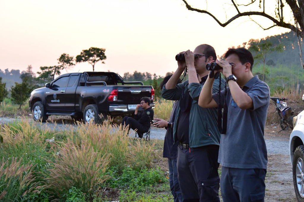 In this photo released by Thailand Department of National Parks, Wildlife and Plant Conservation, officials use a pair of binoculars to monitor wild elephants after they received elephant contraception vaccines in the Trat province of Thailand, Tuesday, Jan. 27, 2026. (Thailand Department of National Parks, Wildlife and Plant Conservation via AP)