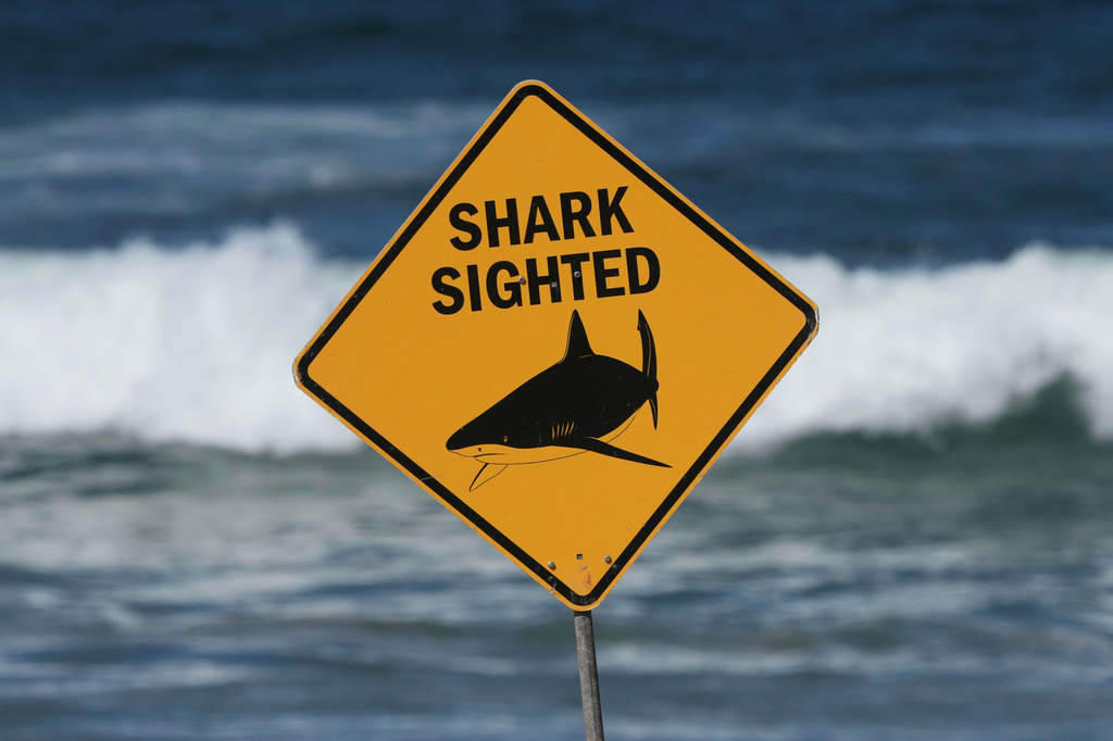 FILE - A sign is seen at the site of a fatal shark attack at Dee Why Beach in Sydney, Australia, on Sept. 6, 2025. (AP Photo/Mark Baker, File)