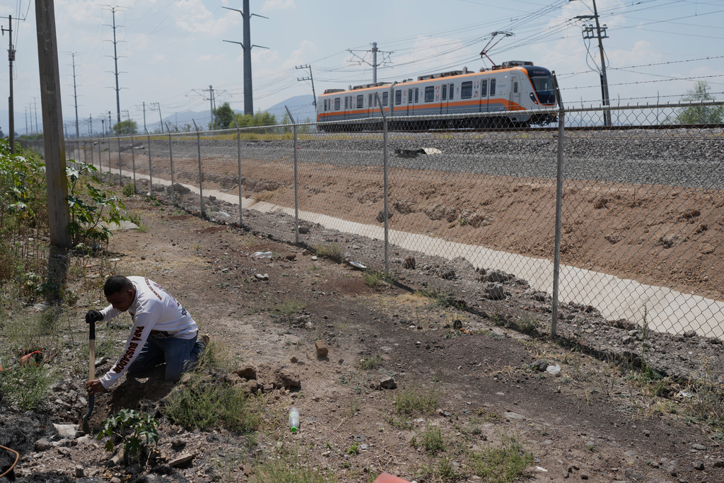 Raul Servin, whose son disappeared eight years prior, inspects an area where the Guerreros Buscadores group of serarchers suspects bodies may be buried, in Tlajomulco de Zuniga, on the outskirts of Guadalajara, Mexico, Tuesday, March 24, 2026. (AP Photo/Eduardo Verdugo)