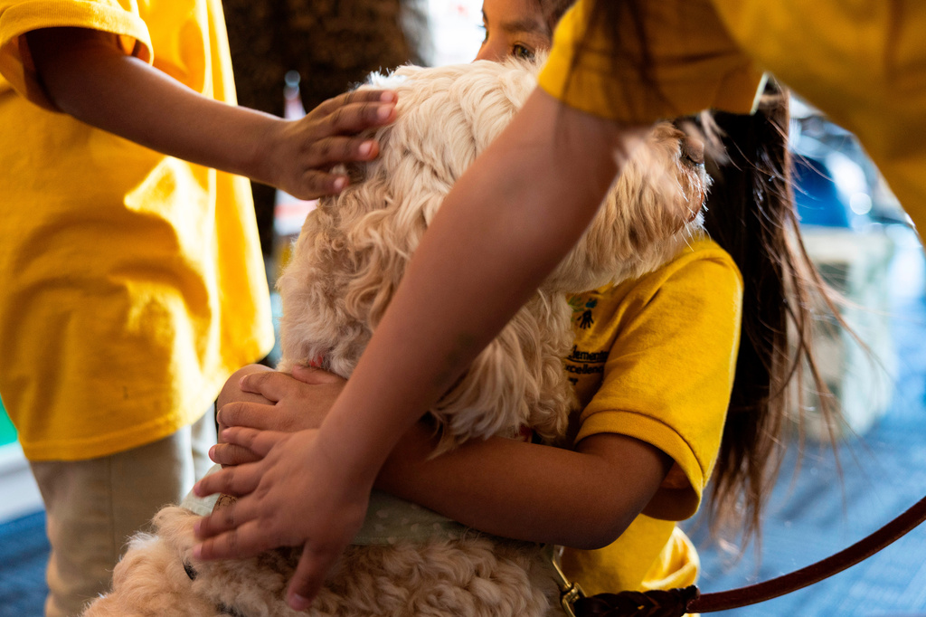 Students embrace Sage, a therapy dog, at Valley View Elementary on April 29, 2026, in Columbia Heights, Minn. (Ellen Schmidt/MinnPost via AP)