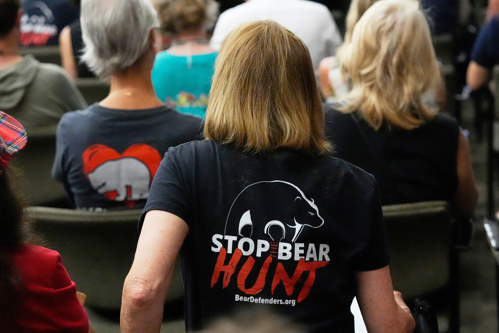 FILE - Citizens attending a Florida Fish & Wildlife Commission hearing about proposed bear hunting wear t-shirts against legalized bear hunting in the state, May 21, 2025, in Ocala, Fla. (AP Photo/John Raoux, File)