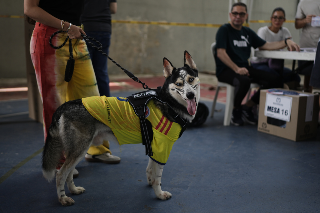 A voter waits in line with her dog, which is wearing a Colombia soccer team jersey and has its face painted as a tiger, at a polling station during the runoff election in Barranquilla, Colombia, Sunday, June 21, 2026. (AP Photo/Ivan Valencia)