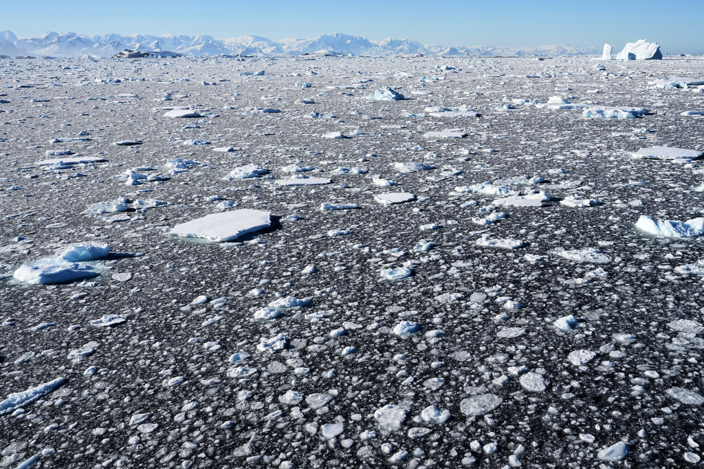 FILE - Sea ice covers the ocean at Yalour Islands in Antarctica, Nov. 24, 2025. (AP Photo/Mark Baker, File)
