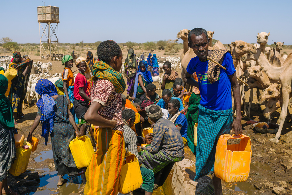 Amid a drought, herders gather after traveling to a well to get water for their livestock Friday, Jan. 9, 2026, in Sanqotor, Ethiopia. (AP Photo/Julianne Gauron)