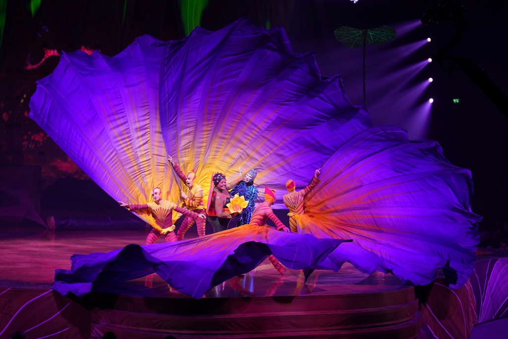 Acrobats from Cirque du Soleil rehearse for the show entitled 'Ovo' at The Royal Albert Hall, in London, Thursday, Jan. 8, 2026. (AP Photo/Kin Cheung)