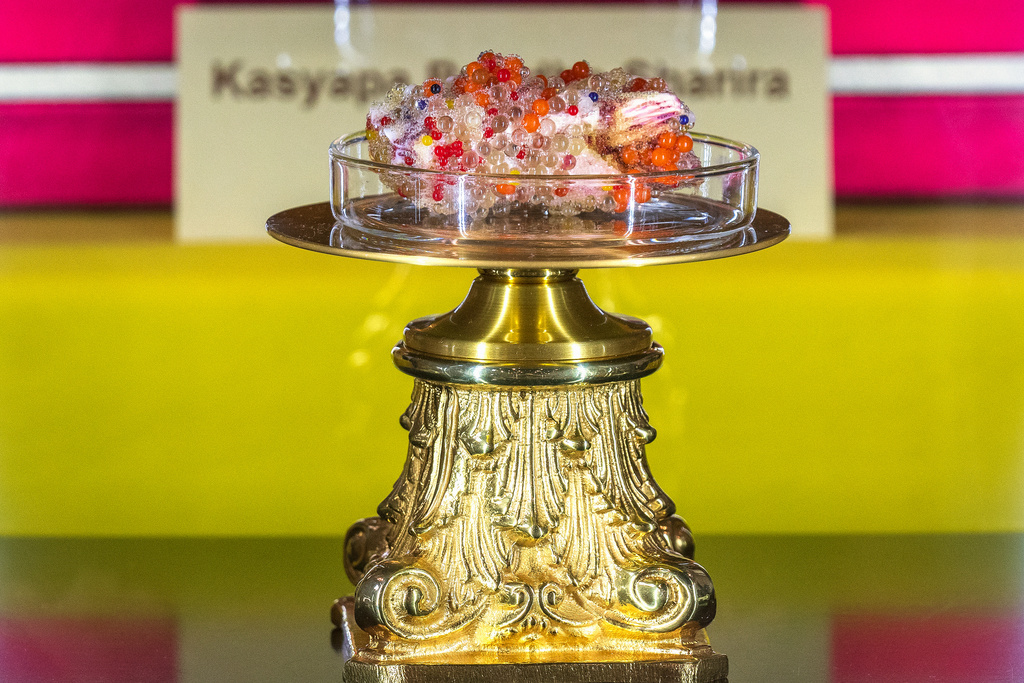 A Buddha's tooth relic is displayed at Wei Mountain Temple, in Rosemead, Calif., Saturday, Feb. 17, 2024. (AP Photo/Damian Dovarganes)