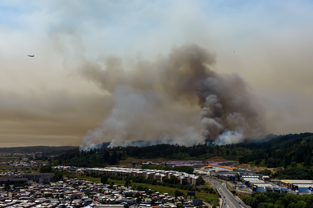 Smoke rises as wildfires burn in forested areas near Concepcion, Chile, Sunday, Jan. 18, 2026. (AP Photo/Javier Torres)