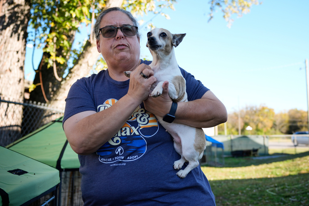 Angela Chapman, director of New Leash On Life animal shelter, holds an owner surrendered dog at the facility Thursday, Nov. 6, 2025, in Lebanon, Tenn. (AP Photo/George Walker IV)