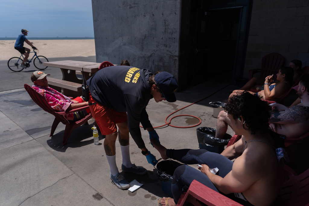 Lifeguard Max Voci, center, treats beachgoers for stingray stings at Bolsa Chica State Beach in Huntington Beach, Calif., Friday, July 24, 2026. (AP Photo/Jae C. Hong)