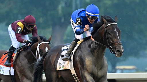 FILE - Jockey Junior Alvarado reacts aboard Sovereignty (2), as he crosses the finish line aboard Sovereignty (2) ahead of Journalism (7), with jockey Umberto Rispoli up, to win the 157th running of the Belmont Stakes horse race, Saturday, June 7, 2025, in Saratoga Springs, N.Y. (AP Photo/Jessica Hill, file) FILE - Jockey Junior Alvarado reacts aboard Sovereignty (2), as he crosses the finish line aboard Sovereignty (2) ahead of Journalism (7), with jockey Umberto Rispoli up, to win the 157th running of the Belmont Stakes horse race, Saturday, June 7, 2025, in Saratoga Springs, N.Y. (AP Photo/Jessica Hill, file)