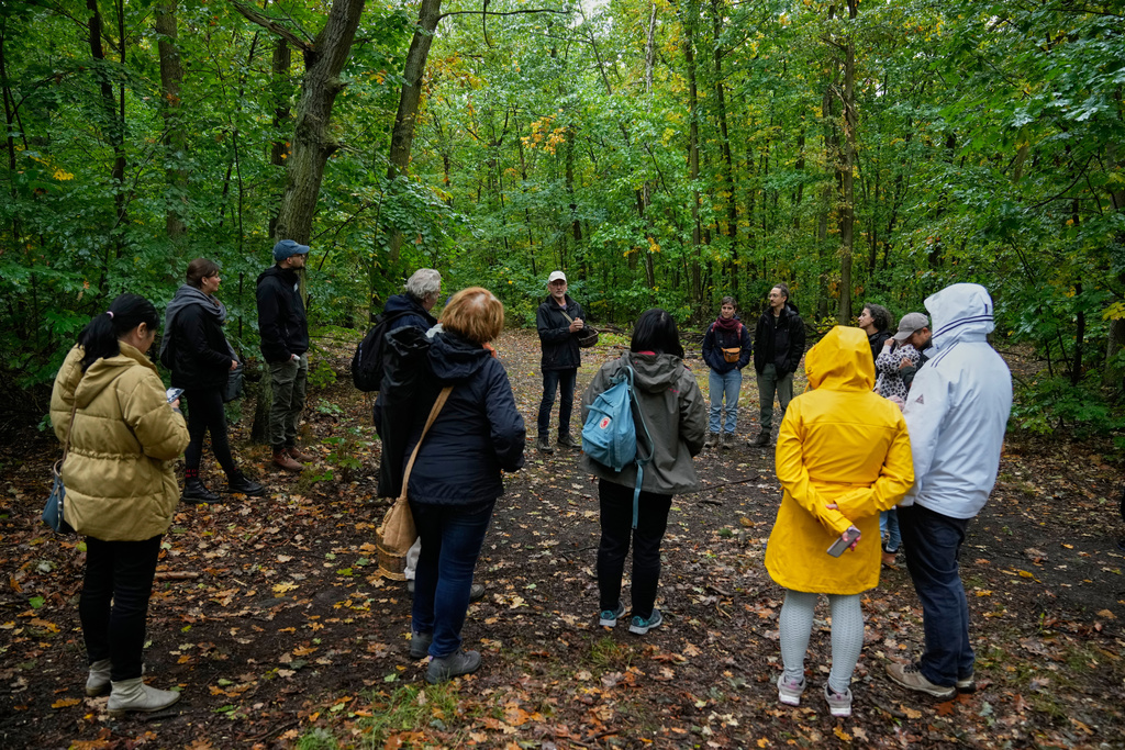 Wolfgang Bivour 75, center, a mushroom hunting tour leader, instructs mushroom pickers on how to hunt mushrooms in a forest in Potsdam, Germany, Wednesday, Oct. 8, 2025. (AP Photo/Ebrahim Noroozi)