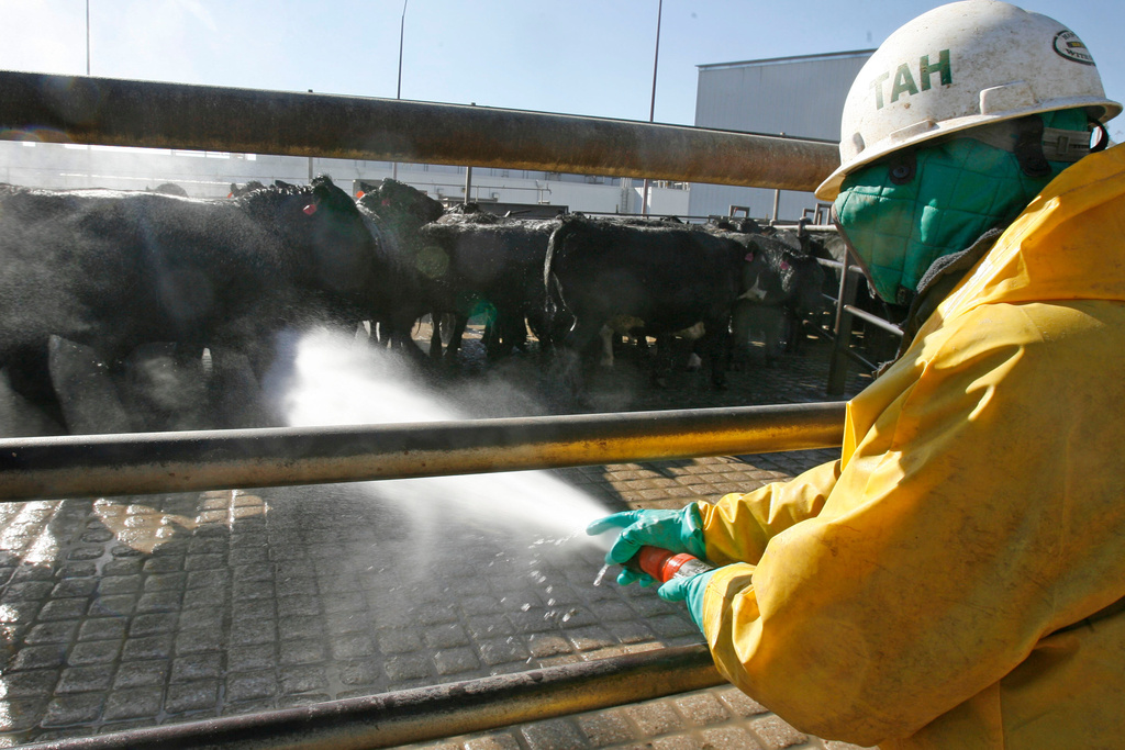 A worker uses a high-pressure jet of water in the second part of the exterior washing process at the Tyson meat packing plant in Lexington, Neb., Wednesday, Nov. 14, 2007. (Kent Sievers/Omaha World-Herald via AP)