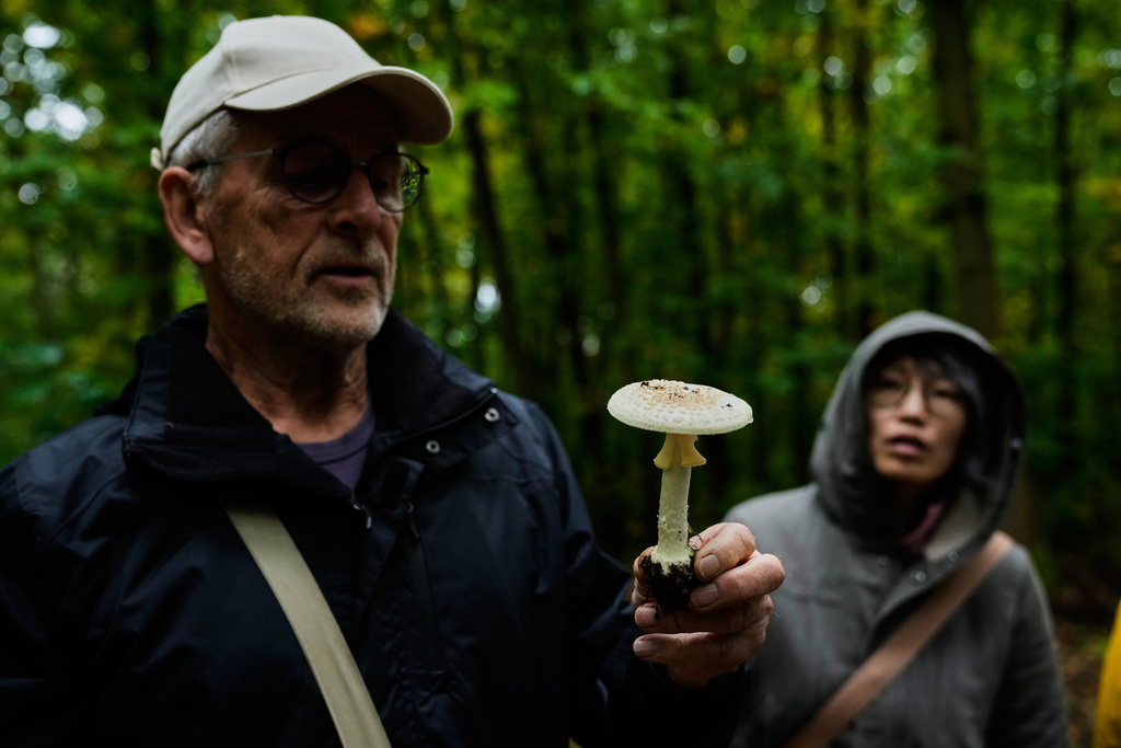 Wolfgang Bivour 75, a mushroom hunting tour leader, instructs mushroom pickers on how to hunt mushrooms in a forest in Potsdam, Germany, Wednesday, Oct. 8, 2025. (AP Photo/Ebrahim Noroozi)