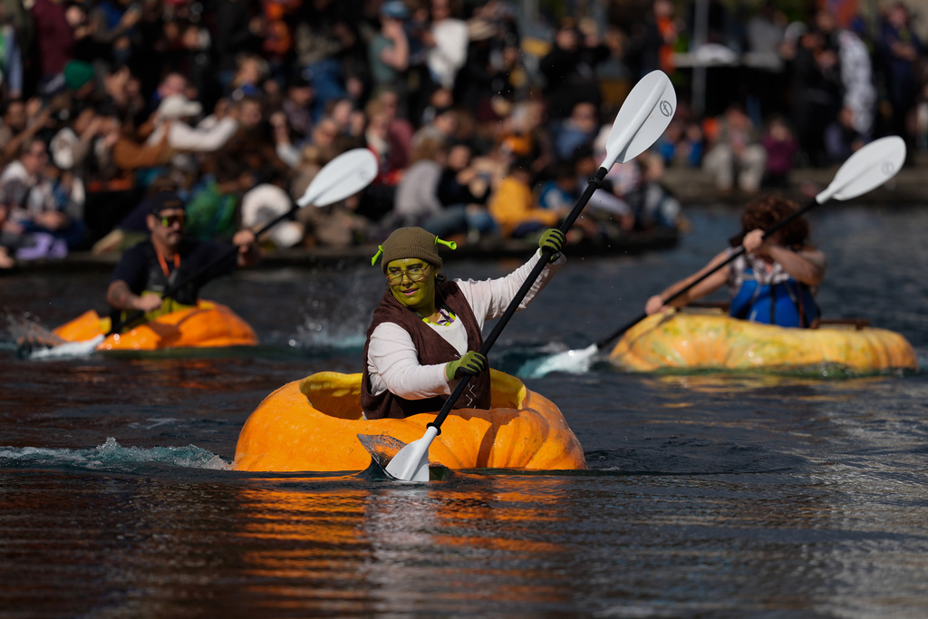 Nina Richards, dressed as Shrek, races in a giant pumpkin during the West Coast Giant Pumpkin Regatta on Sunday, Oct. 19, 2025, in Tualatin, Ore. (AP Photo/Jenny Kane)