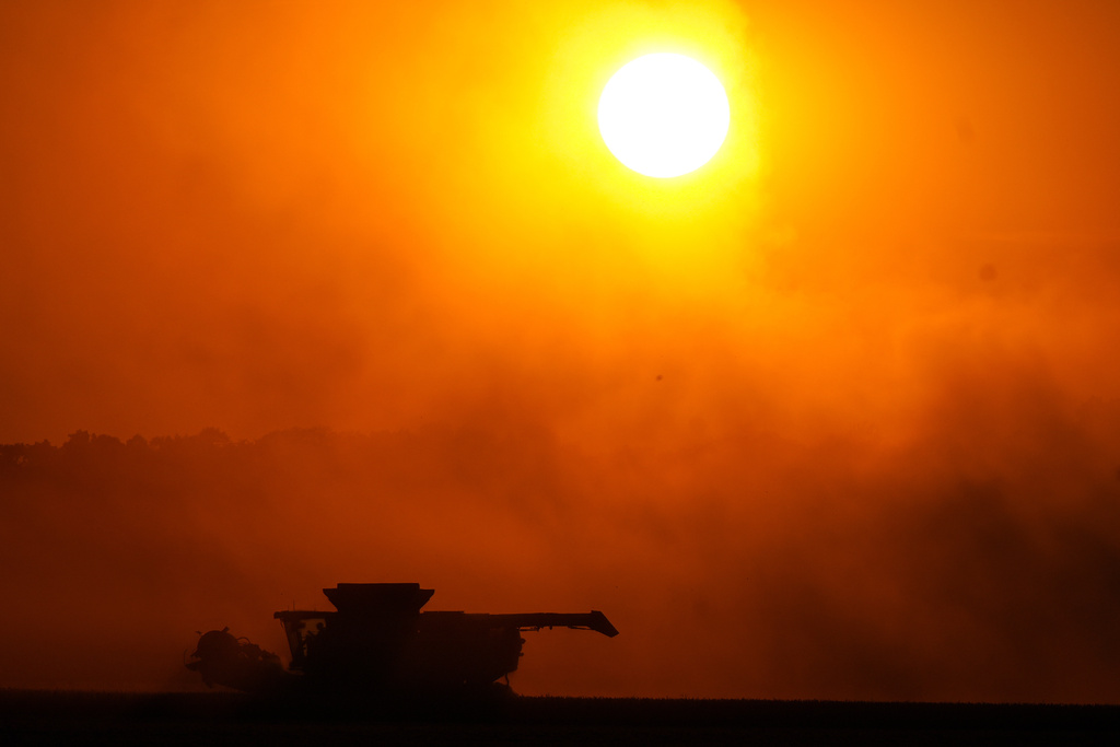 Soybeans are harvested on the Warpup Farm in Warren, Ind., Wednesday, Sept. 17, 2025. (AP Photo/Michael Conroy)
