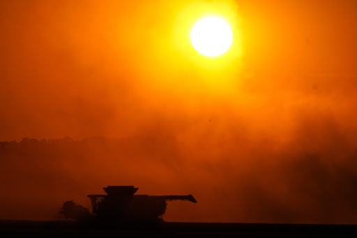 Soybeans are harvested on the Warpup Farm in Warren, Ind., Wednesday, Sept. 17, 2025. (AP Photo/Michael Conroy) Soybeans are harvested on the Warpup Farm in Warren, Ind., Wednesday, Sept. 17, 2025. (AP Photo/Michael Conroy)