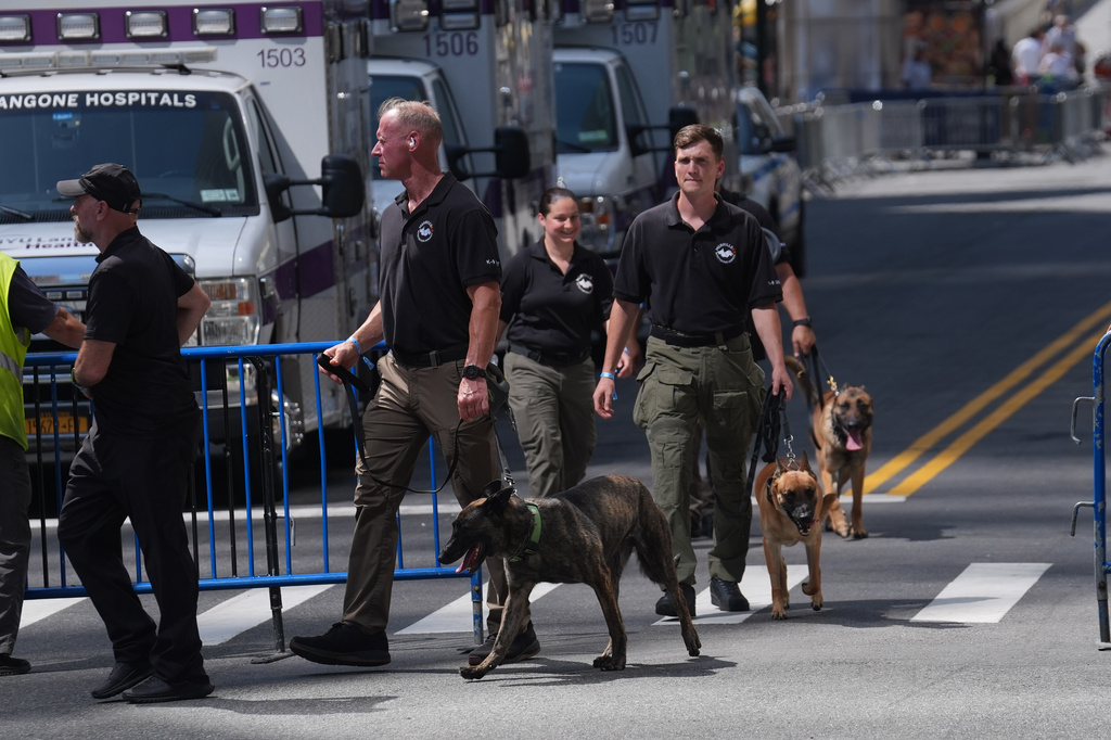 K-9's walk into Madison Square Garden ahead of a reported wedding between Taylor Swift and National Football League player Travis Kelce on Thursday, July 2, 2026, in New York. (AP Photo/Ryan Murphy)