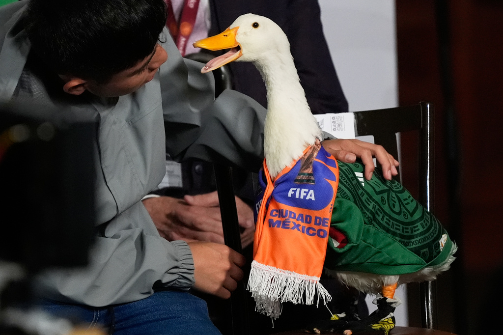 Christian Gomez interacts with his duck Merlin, dressed in a Mexican national soccer team jersey, as they attend the daily press conference by Mexican President Claudia Sheinbaum at the National Palace in Mexico City, Monday, June 22, 2026. (AP Photo/Marco Ugarte)