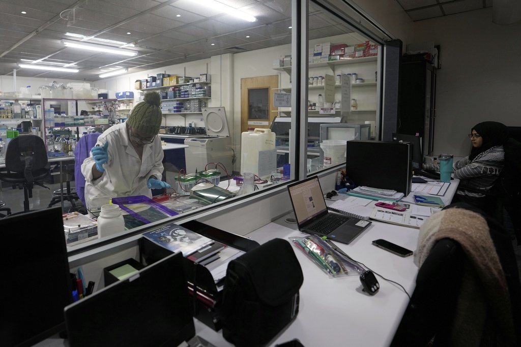 A laboratory technician Nozipho Mlotshwa works on samples at the Wits laboratory Antiviral Gene Therapy Research Unit, at University of the Witwatersrand Medical School, in Johannesburg, South Africa, Thursday, May 22, 2025. (AP Photo/Themba Hadebe)