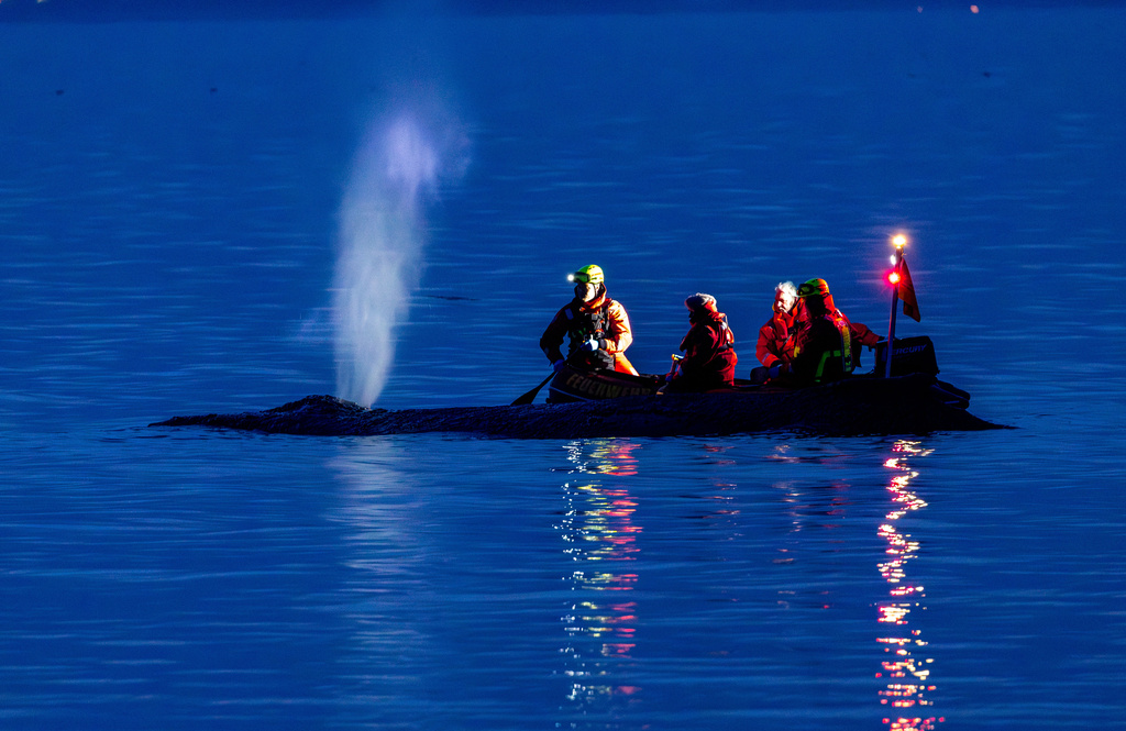 Rescue workers try to bring a whale stranded on the Baltic Sea coast back into deep water, near Timmendorfer Strand, Germany, Monday, March 23, 2026. (Jens Büttner/dpa via AP)
