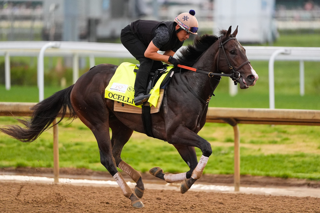 Kentucky Derby alternate Ocelli works out at Churchill Downs Tuesday, April 28, 2026, in Louisville, Ky. (AP Photo/Charlie Riedel)
