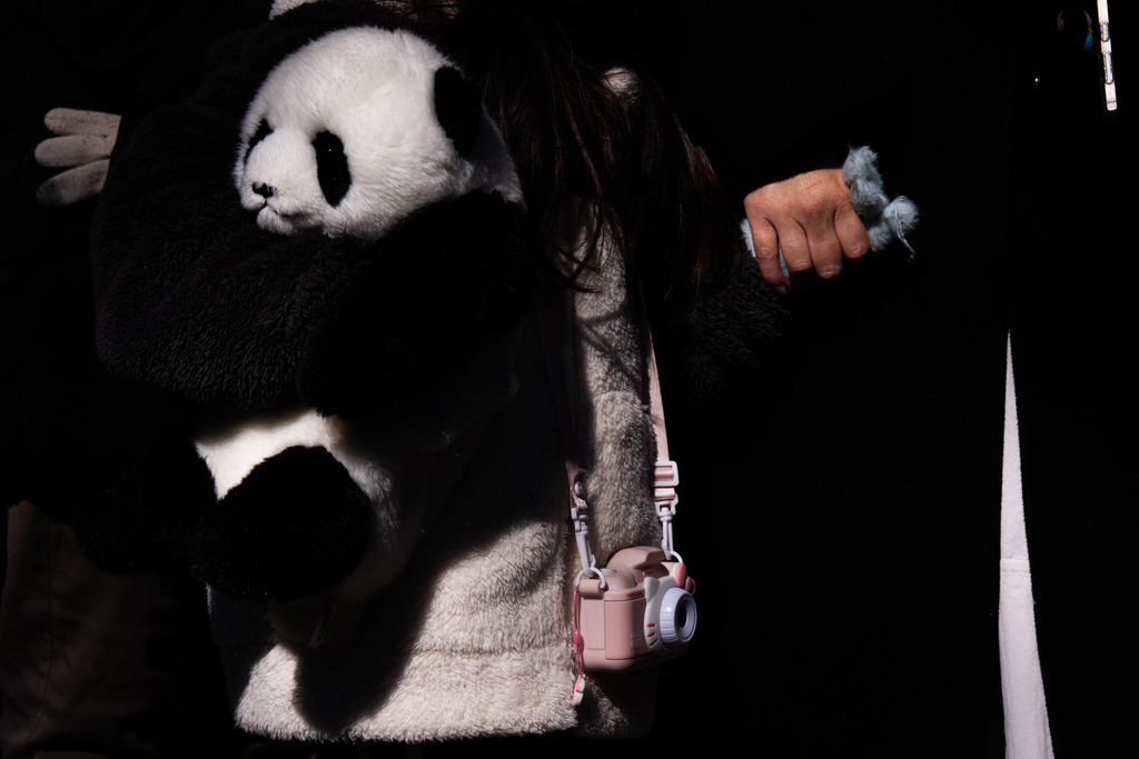 A child holding a panda plush lines up to see giant pandas Lei Lei and Xiao Xiao on the final day of public viewing before departing for China at Ueno Zoo in Tokyo, Sunday, Jan. 25, 2026. (AP Photo/Louise Delmotte)