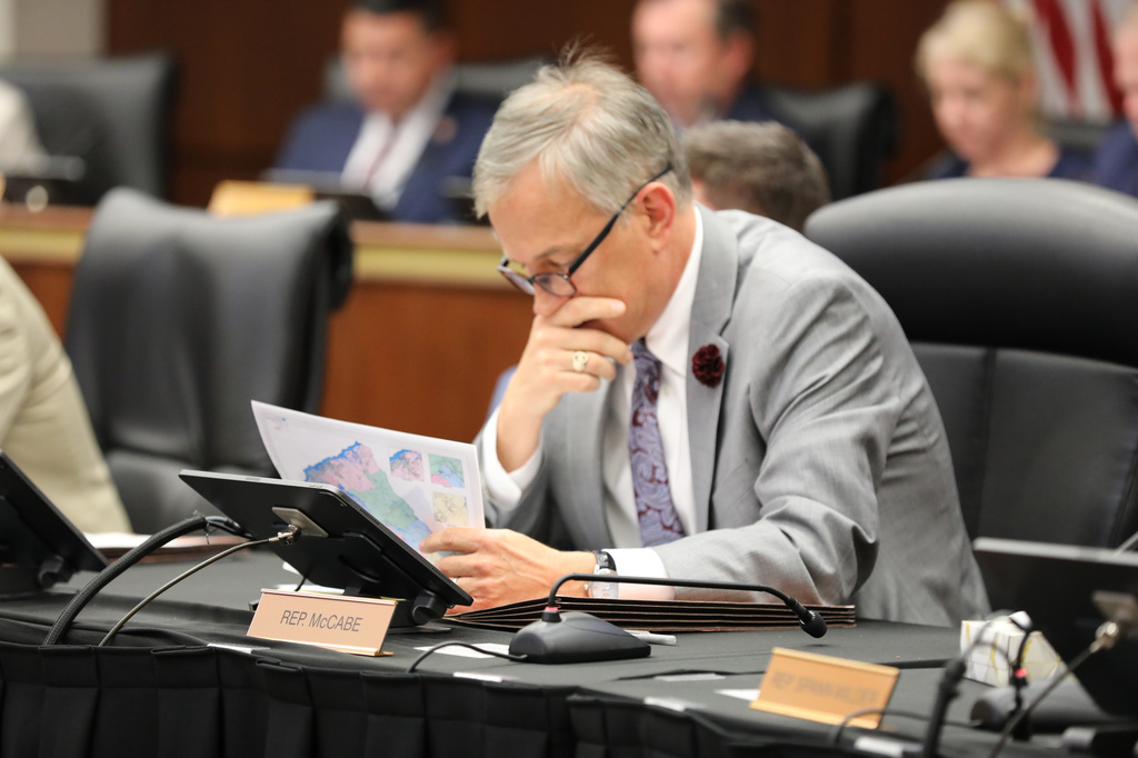 South Carolina Republican Rep. Donald McCabe looks at a proposed U.S. House district map during a redistricting hearing in the state House Judiciary Committee on Tuesday, May, 12 2026, in Columbia, S.C. (AP Photo/Jeffrey Collins)