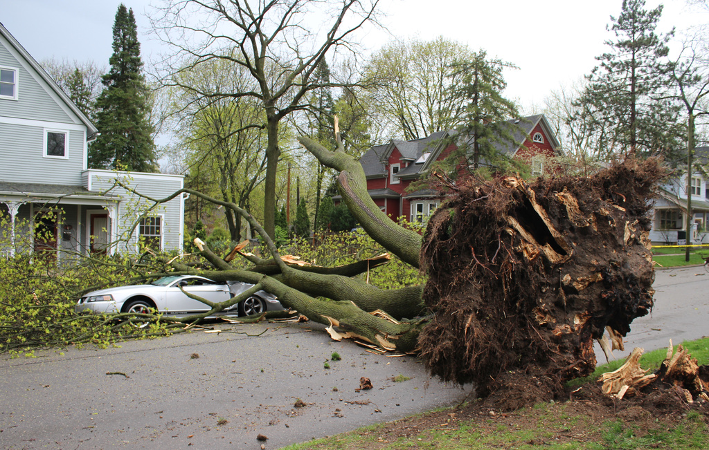Storm damage is seen around Ann Arbor, Mich., on Wednesday, April 15. 2026. ( Jordyn Pair /Ann Arbor News via AP)
