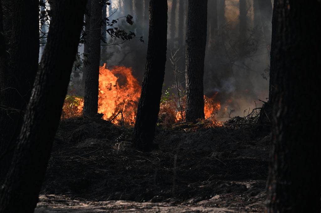 A fire burns in the forest near Blagon, during wildfires in southwestern France, Wednesday, July 29, 2026. (AP Photo/Emma Da Silva)