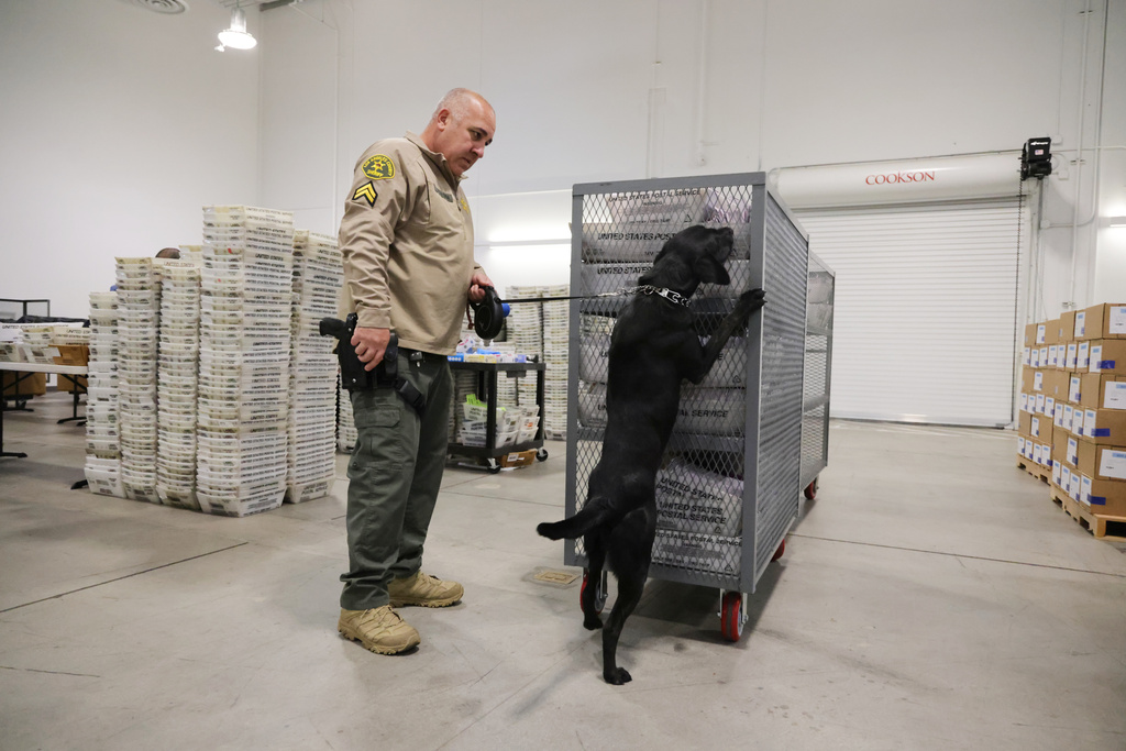 FILE - A sheriff's deputy inspects ballots with the aid of a dog at the L.A. County Ballot Processing Center Nov. 4, 2025, in City of Industry, Calif. (AP Photo/Ethan Swope, File)