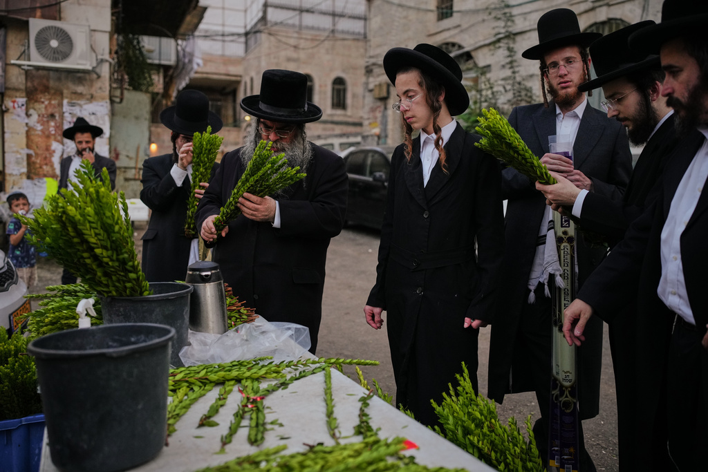 Ultra-Orthodox Jewish men inspect myrtle branches to determine if it is ritually acceptable as one of the four items used as a symbol on the upcoming Jewish holiday of Sukkot, in Jerusalem's Mea Shearim neighborhood, Sunday, Oct. 5, 2025. (AP Photo/Ohad Zwigenberg)