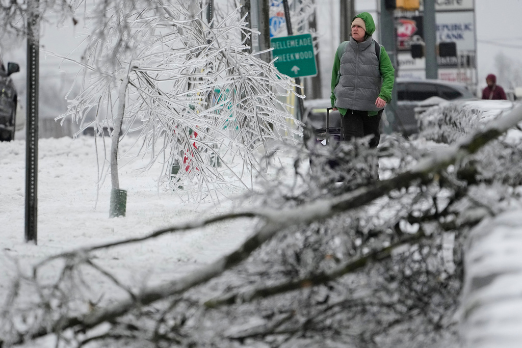 A person walks past ice covered trees and a fallen limb during a winter storm Sunday, Jan. 25, 2026, in Nashville, Tenn. (AP Photo/George Walker IV)