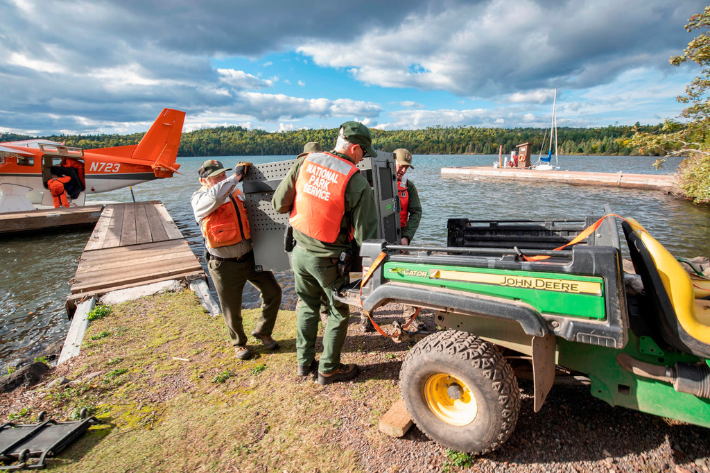 FILE - This Sept. 26, 2018 file photo provided by the National Park Service shows NPS staff unloading a crated gray wolf from a United States Fish & Wildlife Service aircraft at Isle Royale National Park in Michigan. (National Park Service via AP, File)
