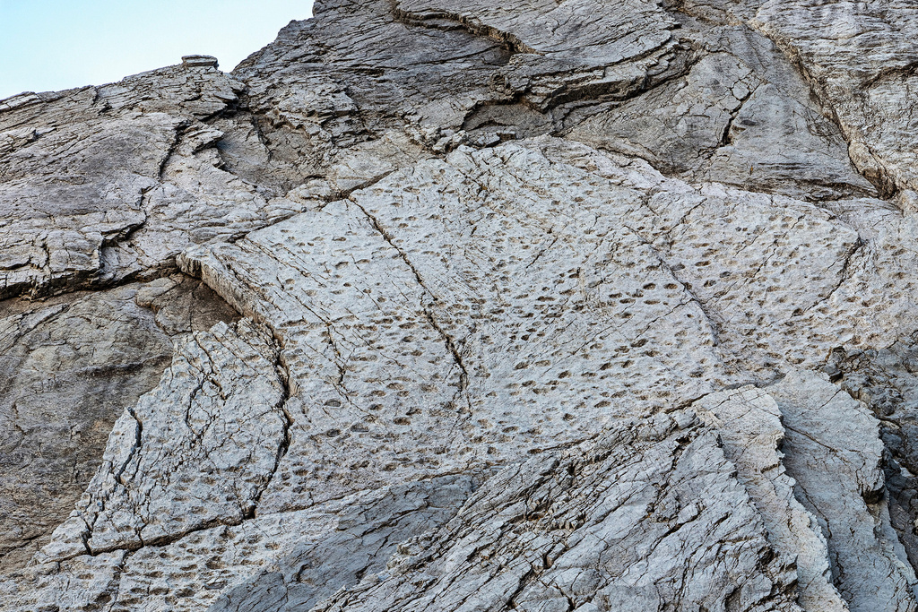 In this photograph taken in September 2025 and released Tuesday, Dec. 16, 2025, by Stelvio National Park, Late Triassic prosauropod footprints are seen on the slopes of the Fraeel Valley in northern Italy. (Elio Della Ferrera/Stelvio National Park via AP)