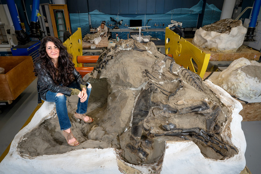This image provided by North Carolina State University shows Associate Research Professor Lindsay Zanno posing with one of her dinosaur finds at the North Carolina Museum of Natural Sciences in downtown Raleigh, N.C. March 25, 2024. (Marc Hall/North Carolina State University via AP) This image provided by North Carolina State University shows Associate Research Professor Lindsay Zanno posing with one of her dinosaur finds at the North Carolina Museum of Natural Sciences in downtown Raleigh, N.C. March 25, 2024. (Marc Hall/North Carolina State University via AP)