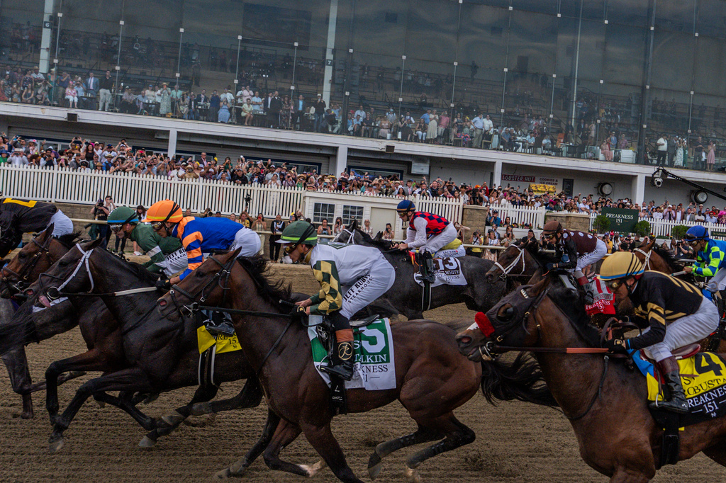 FILE - Horses compete during the 151st running of the Preakness Stakes horse race, May 16, 2026, at Laurel Park in Laurel, Md. (AP Photo/Julia Demaree Nikhinson, File)