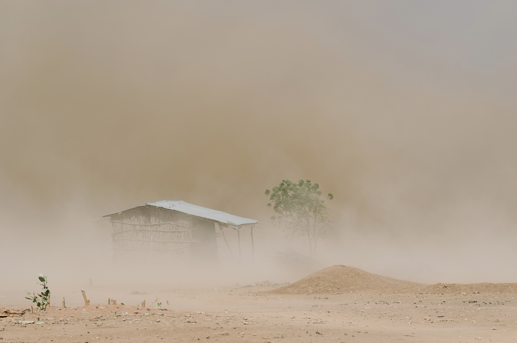Dust engulfs a home and a tree that are barely visible amid a drought on Friday, Jan. 9, 2026, in Sanqotor, Ethiopia. (AP Photo/Julianne Gauron)