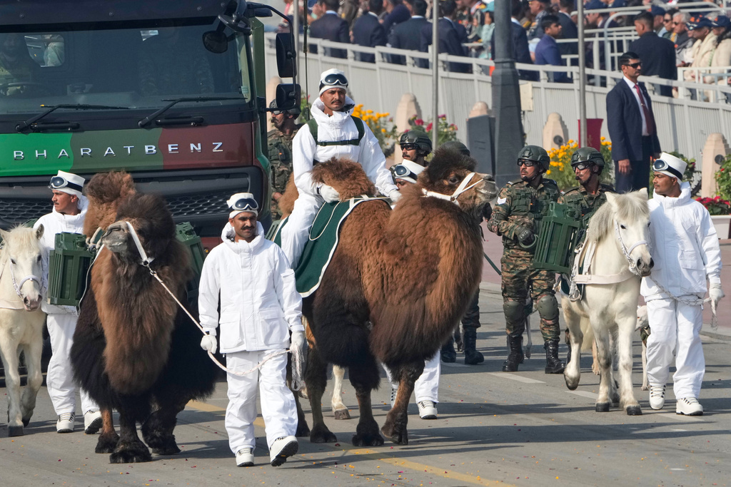 Indian army soldiers with Bacterian camels and Zanskar ponies march during the Republic Day parade celebrations in New Delhi, India, Monday, Jan. 26, 2026. (AP Photo/Manish Swarup)