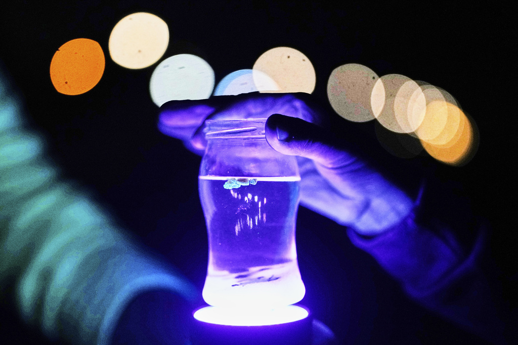 Participants hold a glass of salt water and a black light lamp in their hands to examine amber during a guided amber hunt for tourists on the beach of the Baltic Sea resort of Dahme, Germany, Tuesday, Sept. 2, 2025. (AP Photo/Markus Schreiber)